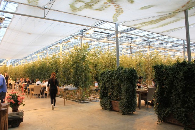 Fridheimar Tomato Farm Restaurant in Iceland